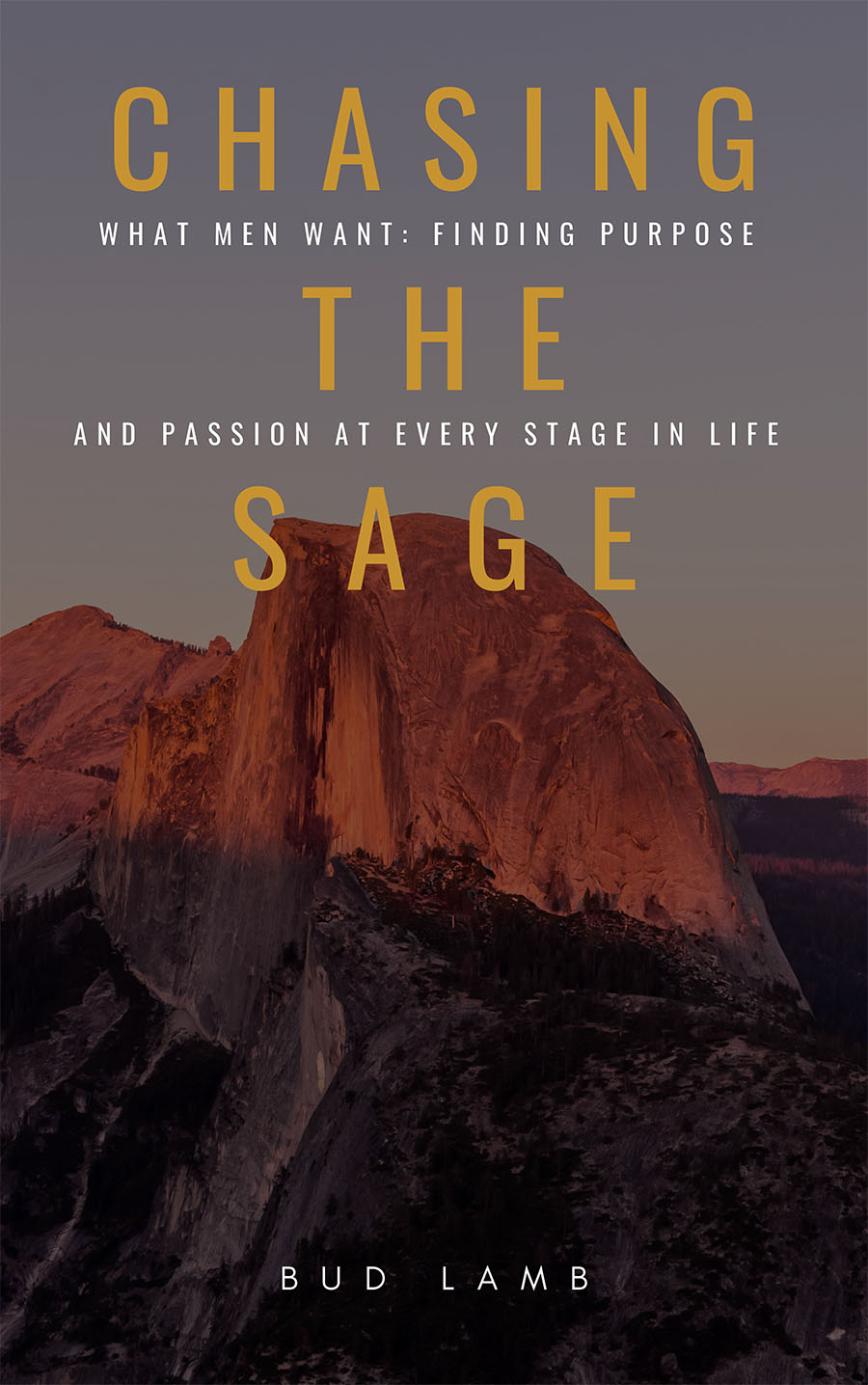 Chasing the Sage by Bud Lamb