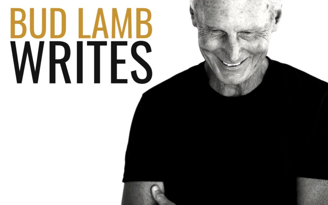 Bud Lamb Writes | Chasing The Sage: Orphan to Son